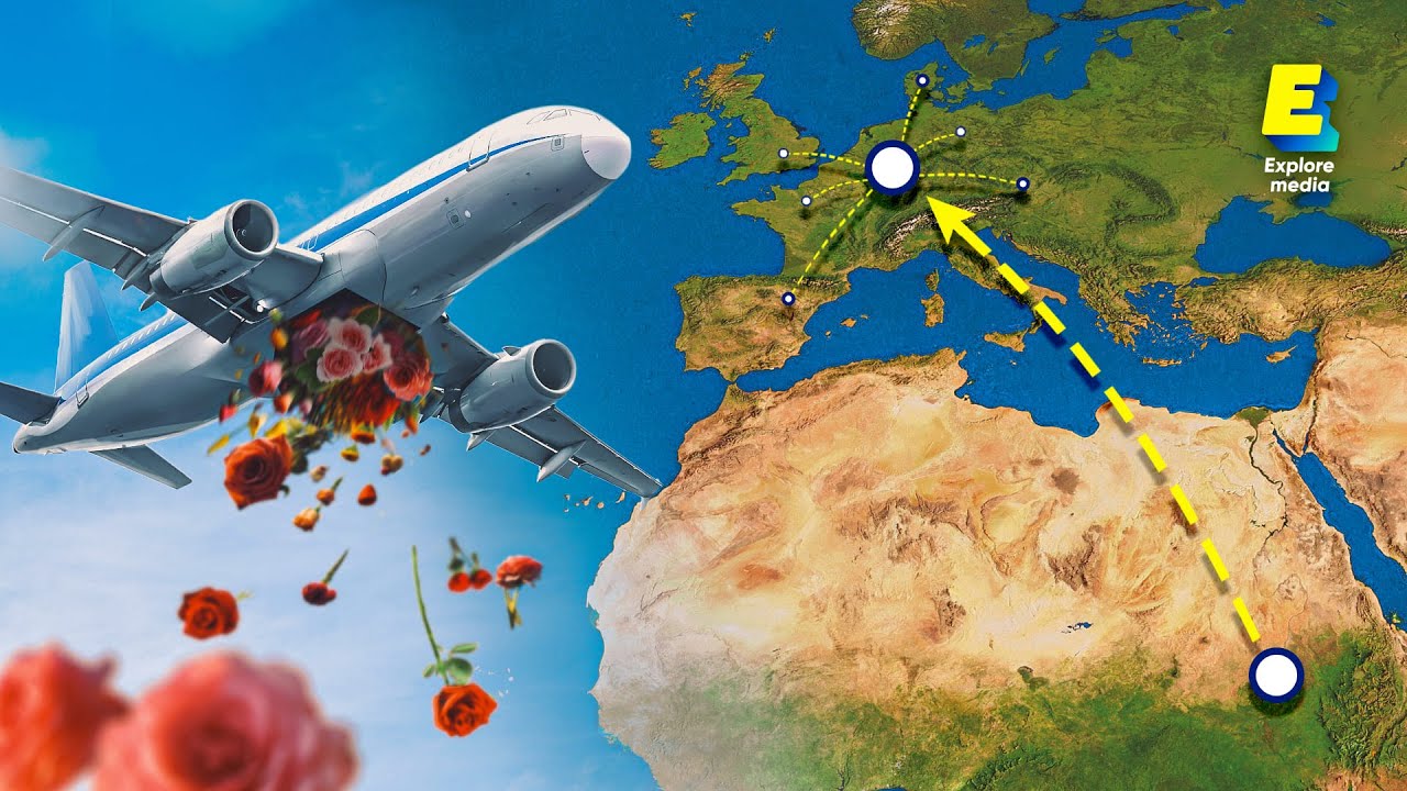 L’incroyable logistique du business des fleurs | ATLAS