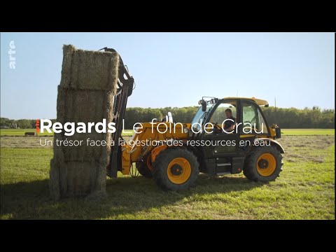 ARTE Regards  - Le foin et la gestion des ressources en eau