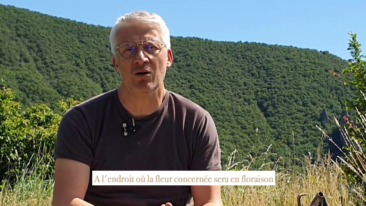 Qu'est ce qu'un miel de cru