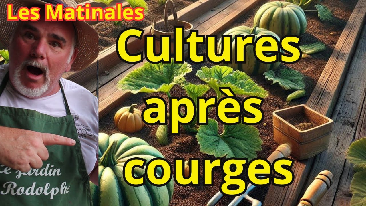 Rotation des cultures : Les meilleures options à planter après les courges