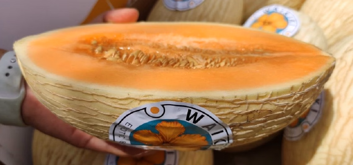 Beer Tour du Cambrésis : Happy Mousse, l’art de la bière artisanale passionnée à Anneux