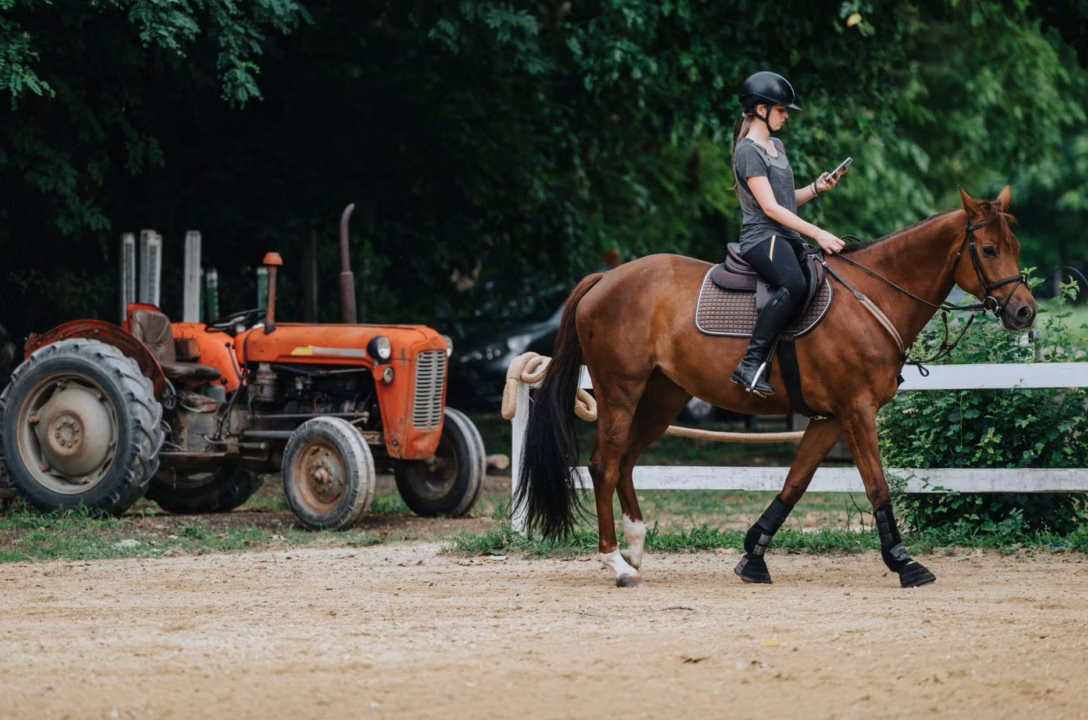 Comice agricole de Terres : concours de chevaux lourds, marché de producteurs locaux et festin champêtre au programme
